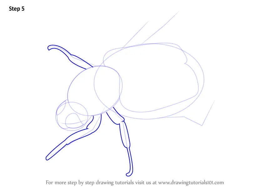 How to Draw a Bee Beetle (Insects) Step by Step | DrawingTutorials101.com