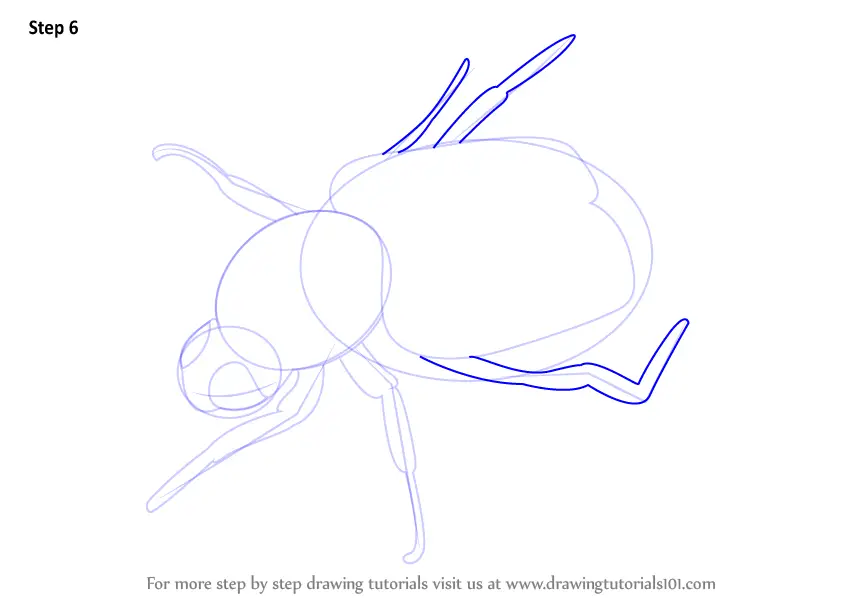 How to Draw a Bee Beetle (Insects) Step by Step | DrawingTutorials101.com