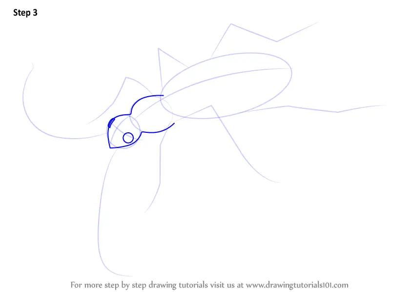 How to Draw a Bombardier Beetle (Insects) Step by Step ...