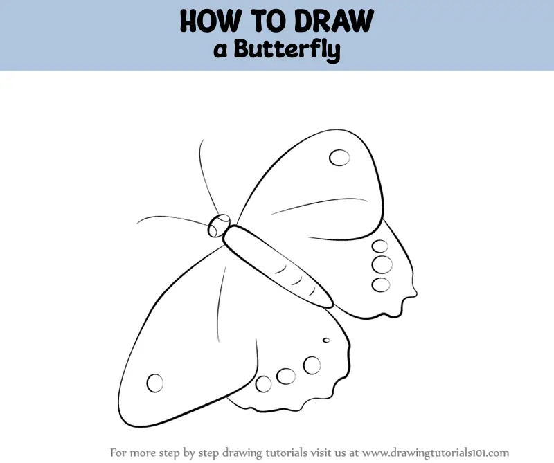 How To Draw Butterflies: an art drawing book to learn the step-by-step way  to draw bugs, butterfly insect for the beginner and kids age 9-12  (Paperback)