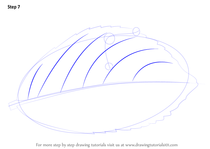 how-to-draw-a-caterpillar-on-a-leaf-insects-step-by-step