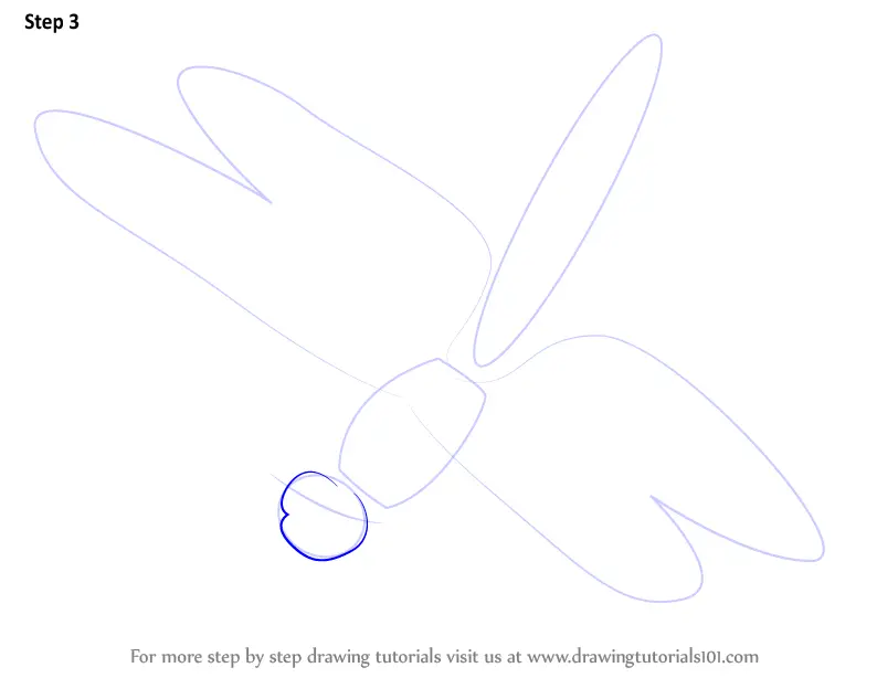 Learn How To Draw A Dragonfly Insects Step By Step