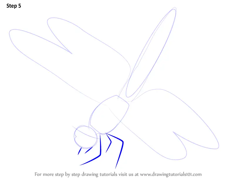 How To Draw A Dragonfly (insects) Step By Step 