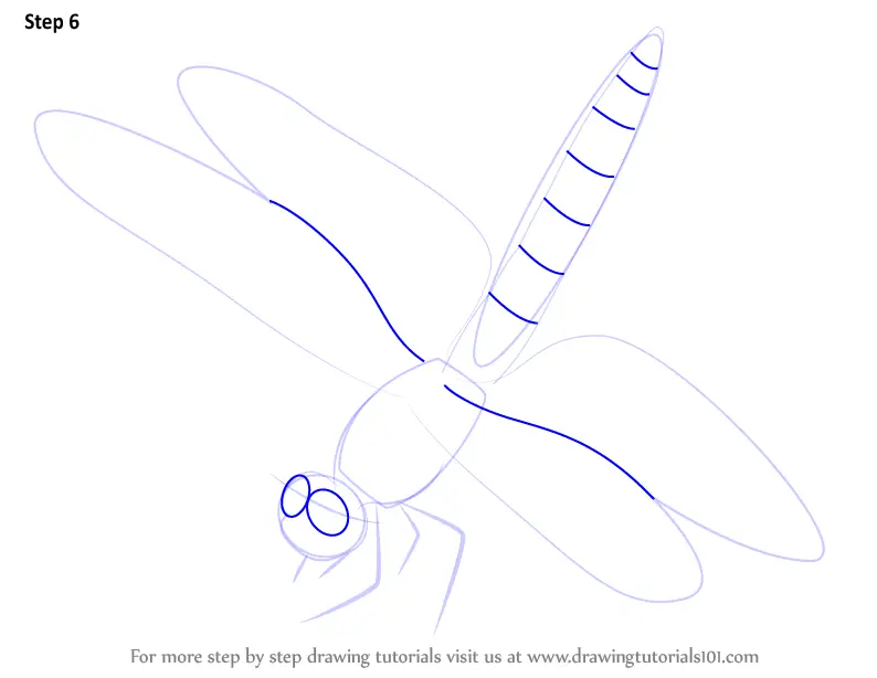 How to Draw a Dragonfly (Insects) Step by Step | DrawingTutorials101.com