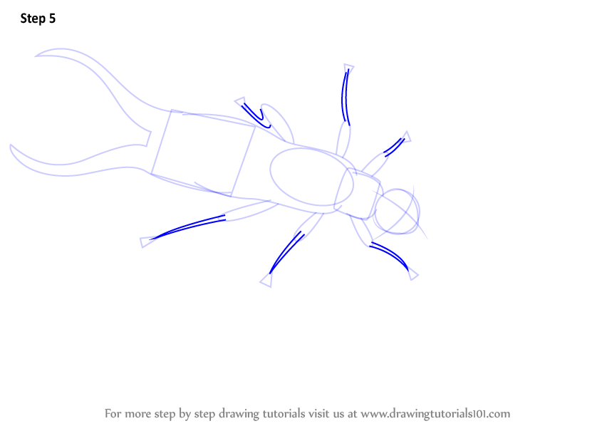 Download Step by Step How to Draw a Earwig : DrawingTutorials101.com