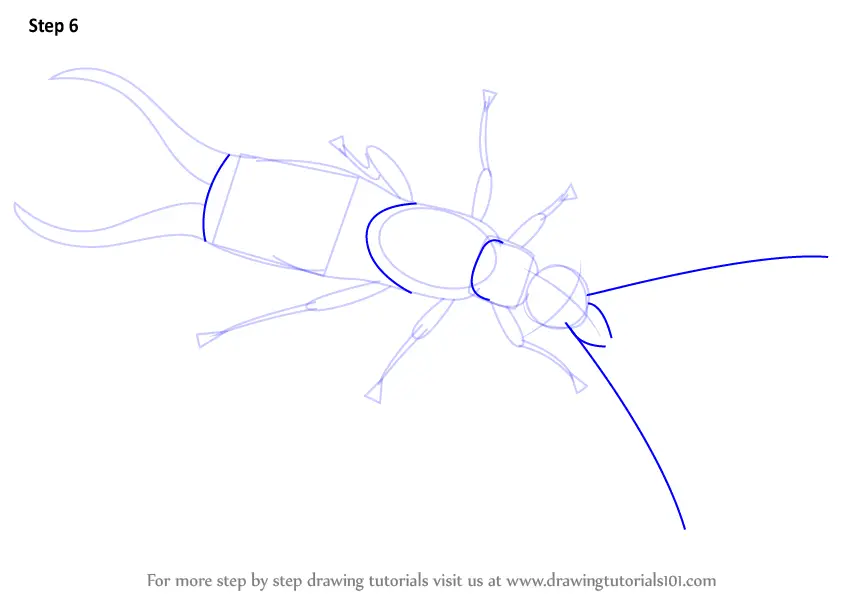 How to Draw a Earwig (Insects) Step by Step | DrawingTutorials101.com