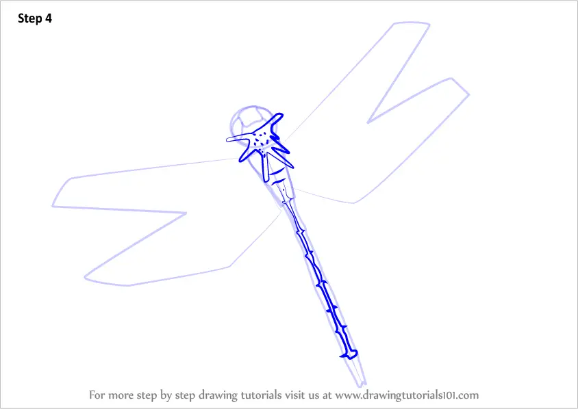 Learn How To Draw A Flying Dragonfly Insects Step By Step