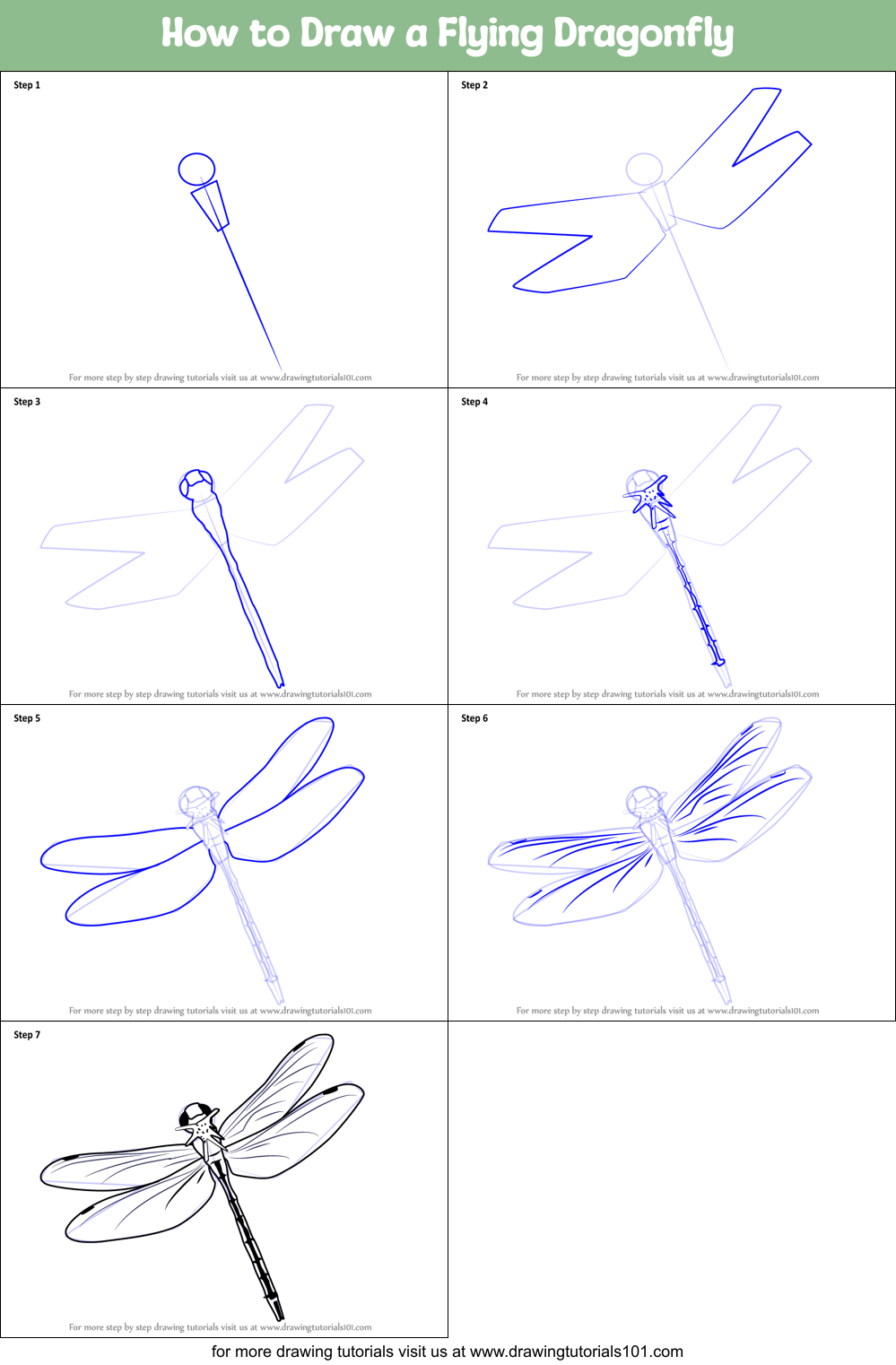 How to Draw a Flying Dragonfly (Insects) Step by Step