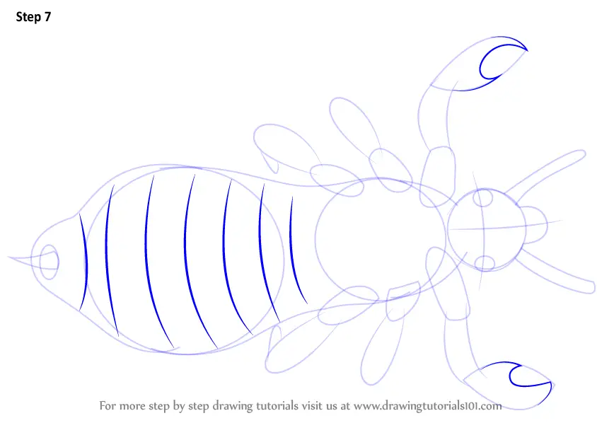 Step by Step How to Draw a Louse