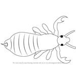How to Draw a Louse