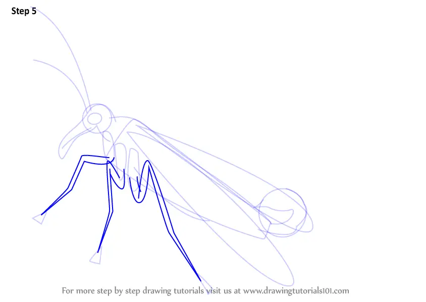 How to Draw a Mecoptera (Insects) Step by Step | DrawingTutorials101.com