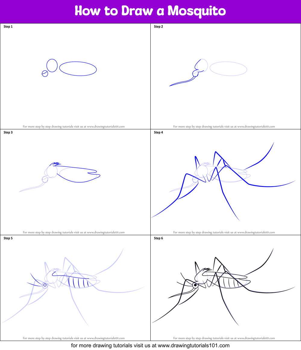 How To Draw A Mosquito Insects Step By Step DrawingTutorials101