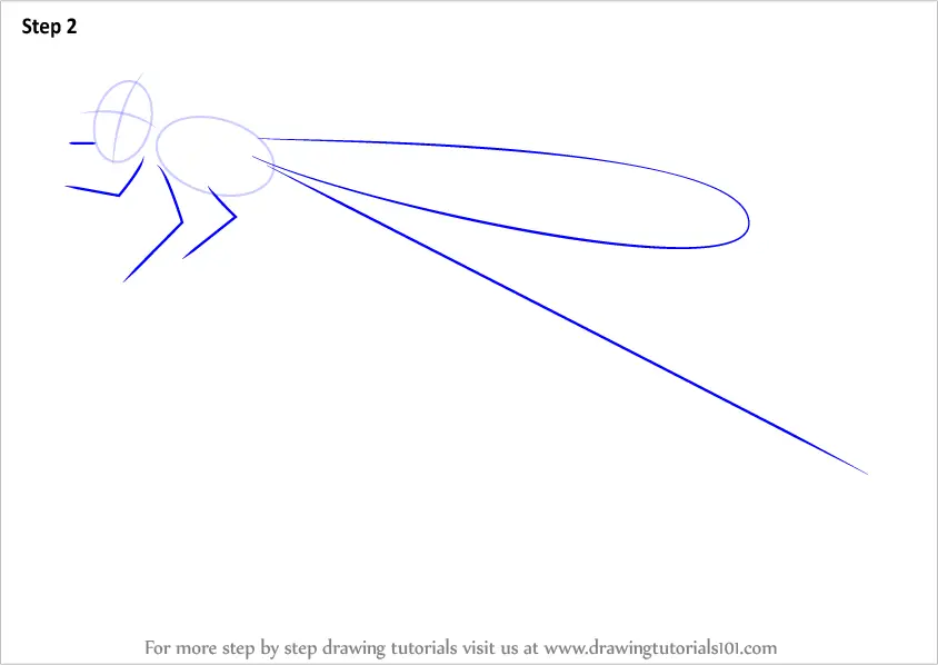 Download Learn How to Draw an Orangeblack Hawaiian Damselfly (Insects) Step by Step : Drawing Tutorials