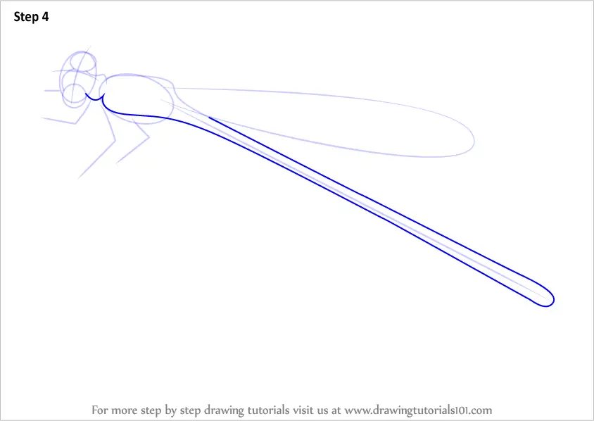 Download Learn How to Draw an Orangeblack Hawaiian Damselfly (Insects) Step by Step : Drawing Tutorials