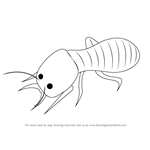 How to Draw a Termite