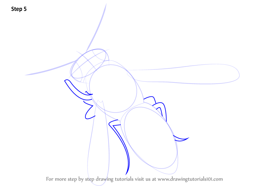 How To Draw A Wasp (insects) Step By Step 