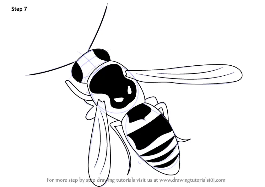 How to Draw a Wasp (Insects) Step by Step