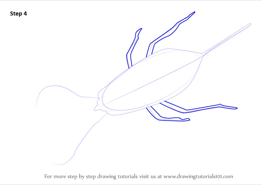 How to Draw a Water Scorpion (Insects) Step by Step ...