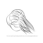 How to Draw a Lion's Mane Jellyfish