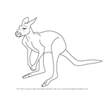 How to Draw a Red Kangaroo