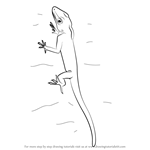 How to Draw an Anolis