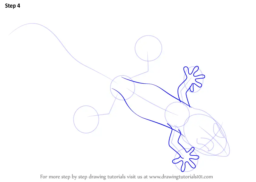 Step by Step How to Draw a Gecko