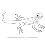 How to Draw a Green Lizard