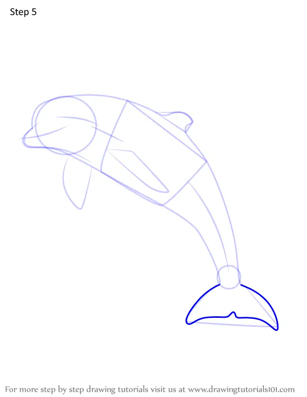 How to Draw a Bottlenose dolphin (Marine Mammals) Step by Step ...