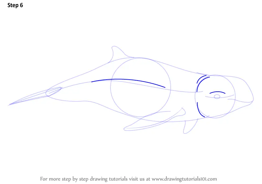 How to Draw a Irrawaddy Dolphin (Marine Mammals) Step by Step ...