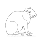 How to Draw an Agouti