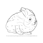 How to Draw an Angora Rabbit