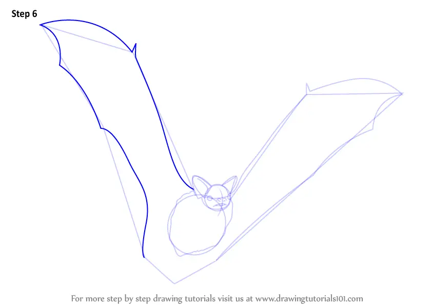 How to Draw a Big Brown Bat (Other Animals) Step by Step ...