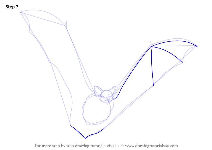 How To Draw A Big Brown Bat (other Animals) Step By Step 