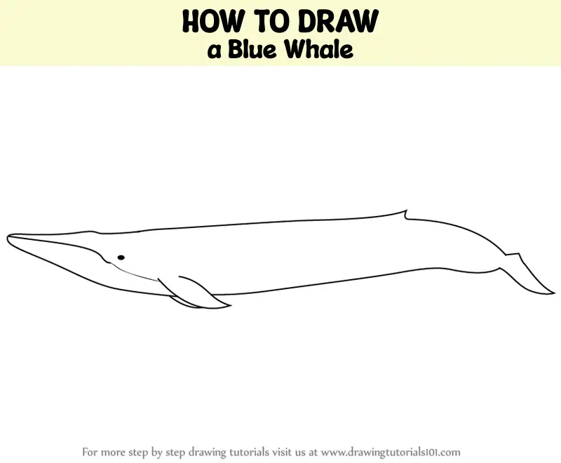Easy Drawing Guides on X: 