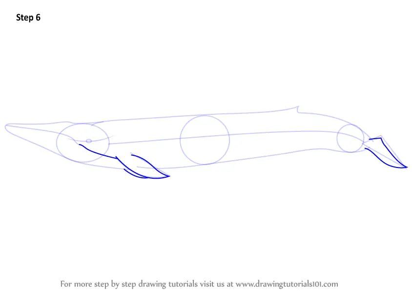 How to Draw a Blue Whale (Other Animals) Step by Step ...