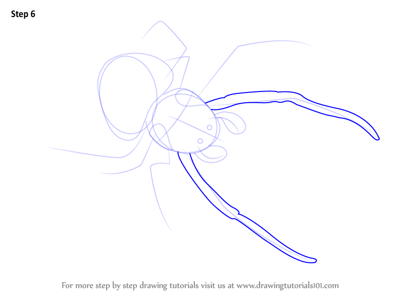 How to Draw a Bolas Spider (Other Animals) Step by Step ...