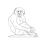 How to Draw a Bonobo
