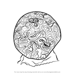 How to Draw a Brain Coral