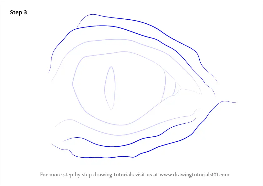 How to Draw Crocodile Eyes (Other Animals) Step by Step ...