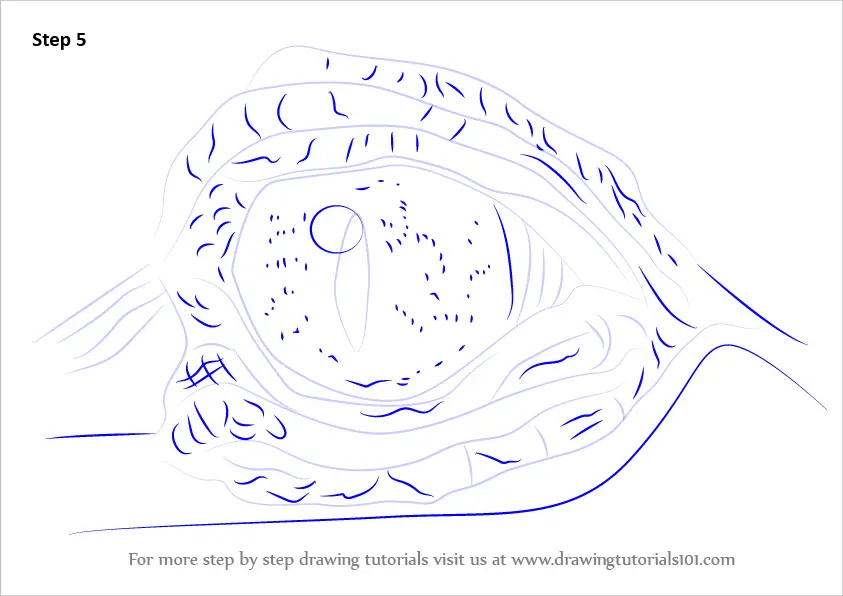 How to Draw Crocodile Eyes (Other Animals) Step by Step ...