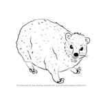 How to Draw a Dassie