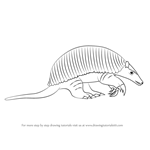 How to Draw a Giant armadillo