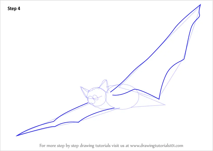 How to Draw an Indiana Bat (Other Animals) Step by Step ...