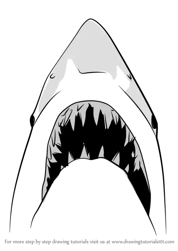 shark jaws drawing