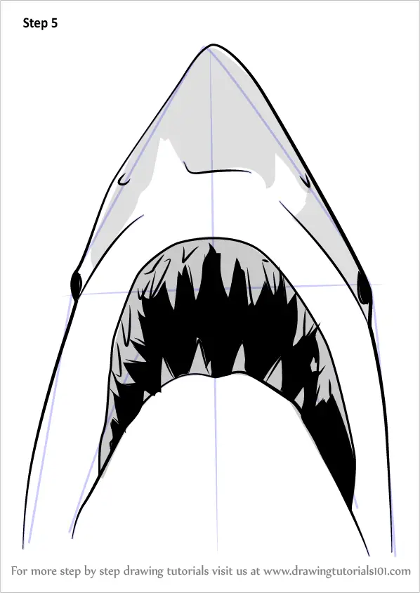 Learn How to Draw Jaws Shark Other Animals Step by Step 