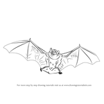 How to Draw a Little Brown Bat