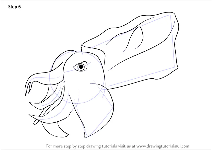 Learn How to Draw a Pfeffer's flamboyant cuttlefish (Other Animals