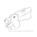 How to Draw a Pfeffer's flamboyant cuttlefish