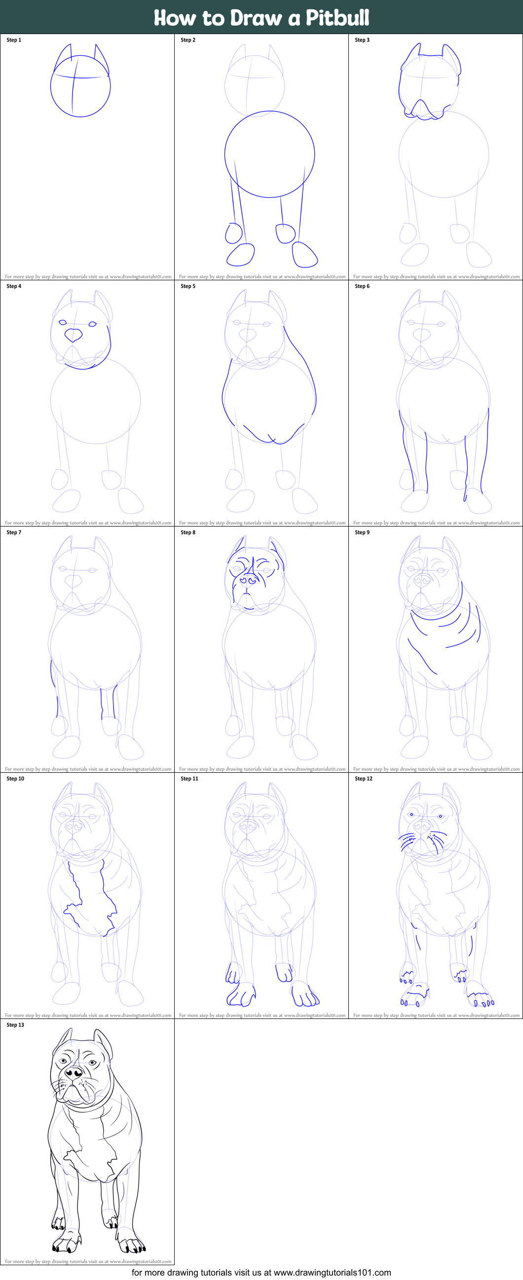 How To Draw A Pitbull Printable Step By Step Drawing Sheet