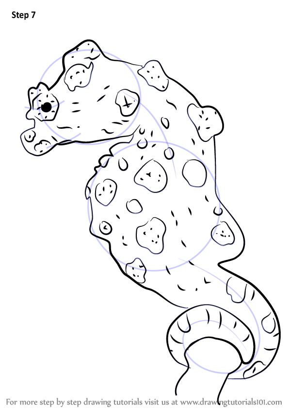 by step to how step seahorse draw Pygmy Learn by to Seahorse How Step (Other Draw a Animals)